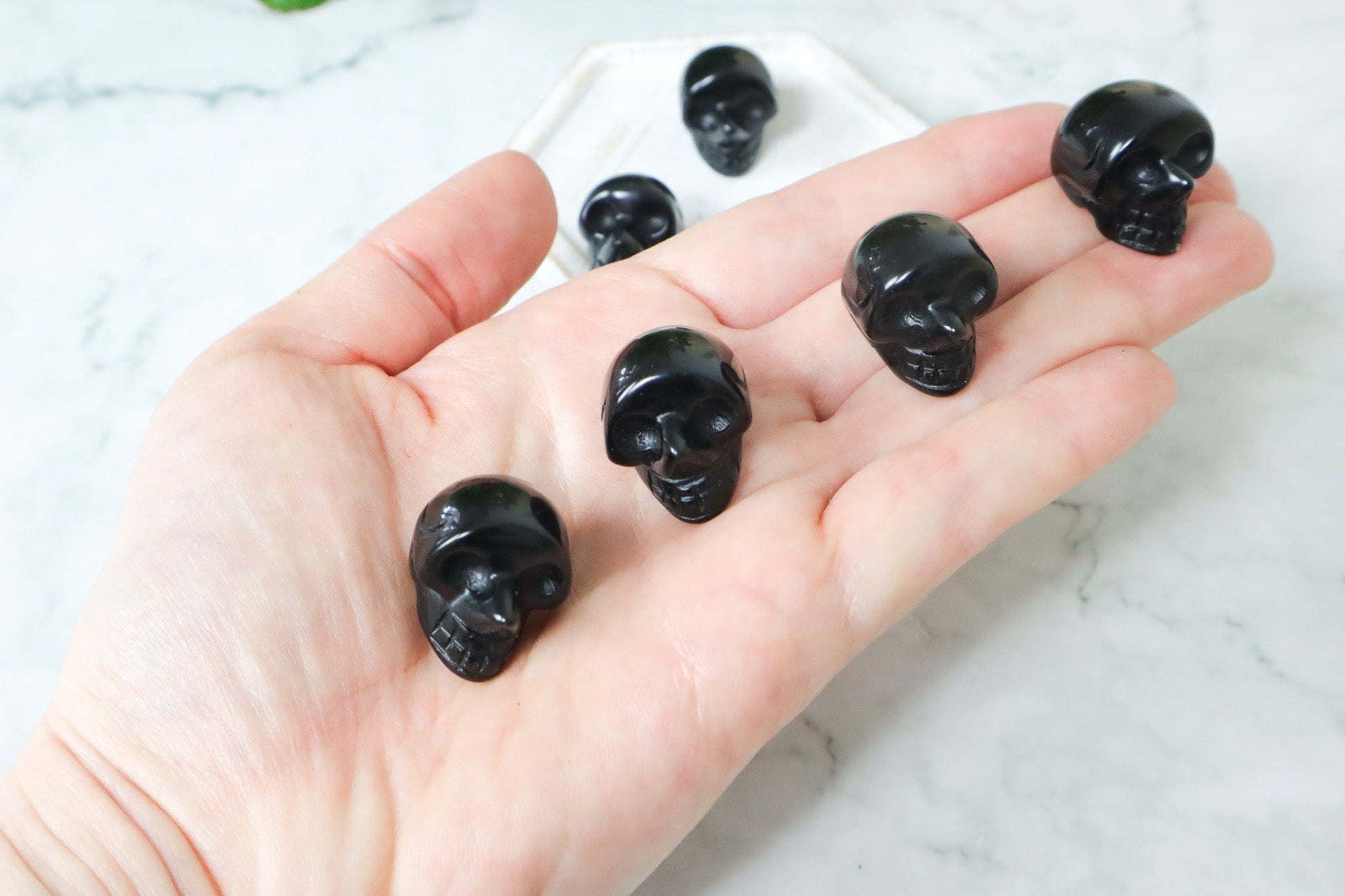 Black Obsidian Skulls - Protection/Clarity Skulls Tali & Loz