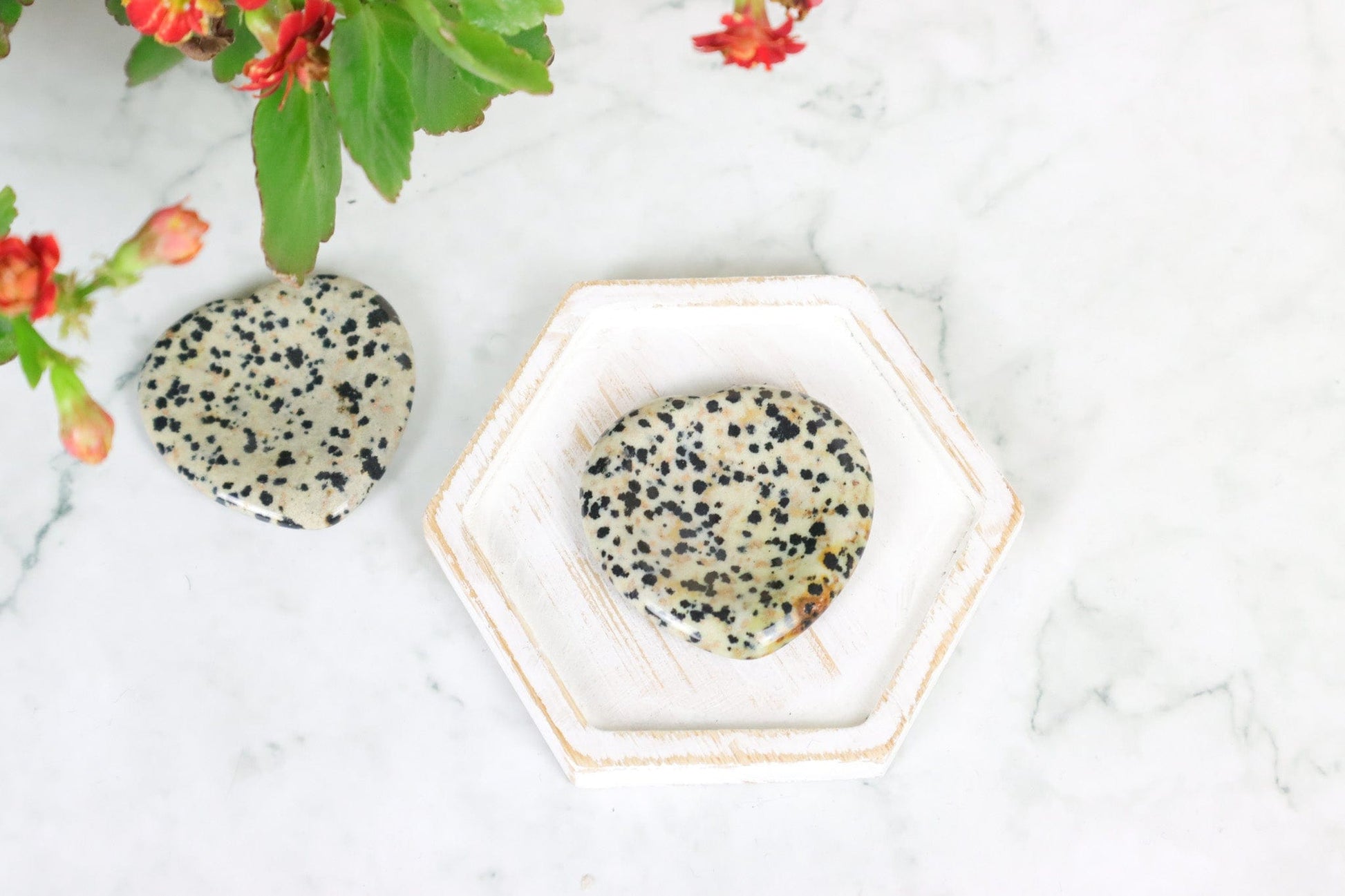 Dalmatian Jasper Worry Stone Hearts - Grounding/Positivity Palm Stones Tali & Loz