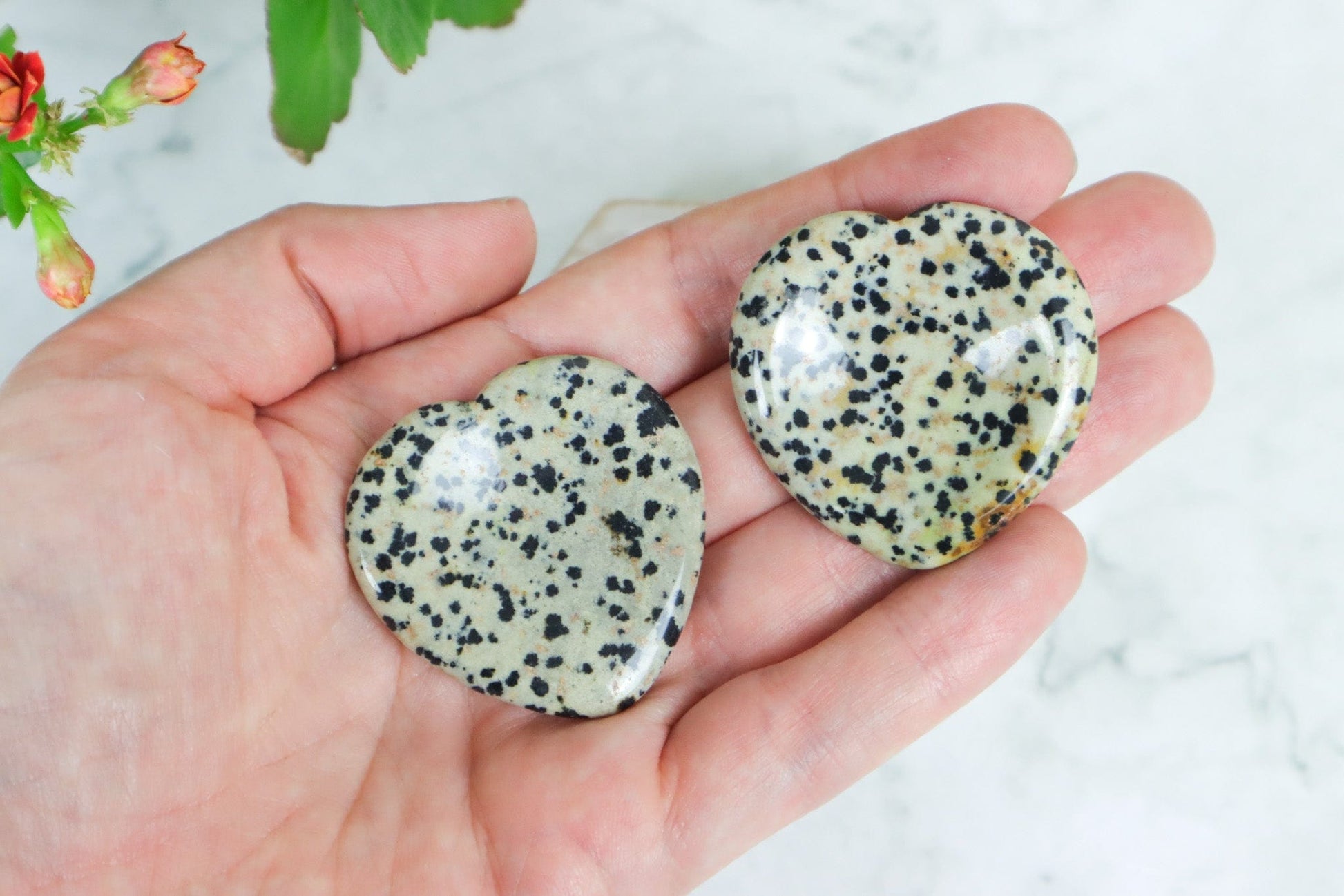 Dalmatian Jasper Worry Stone Hearts - Grounding/Positivity Palm Stones Tali & Loz