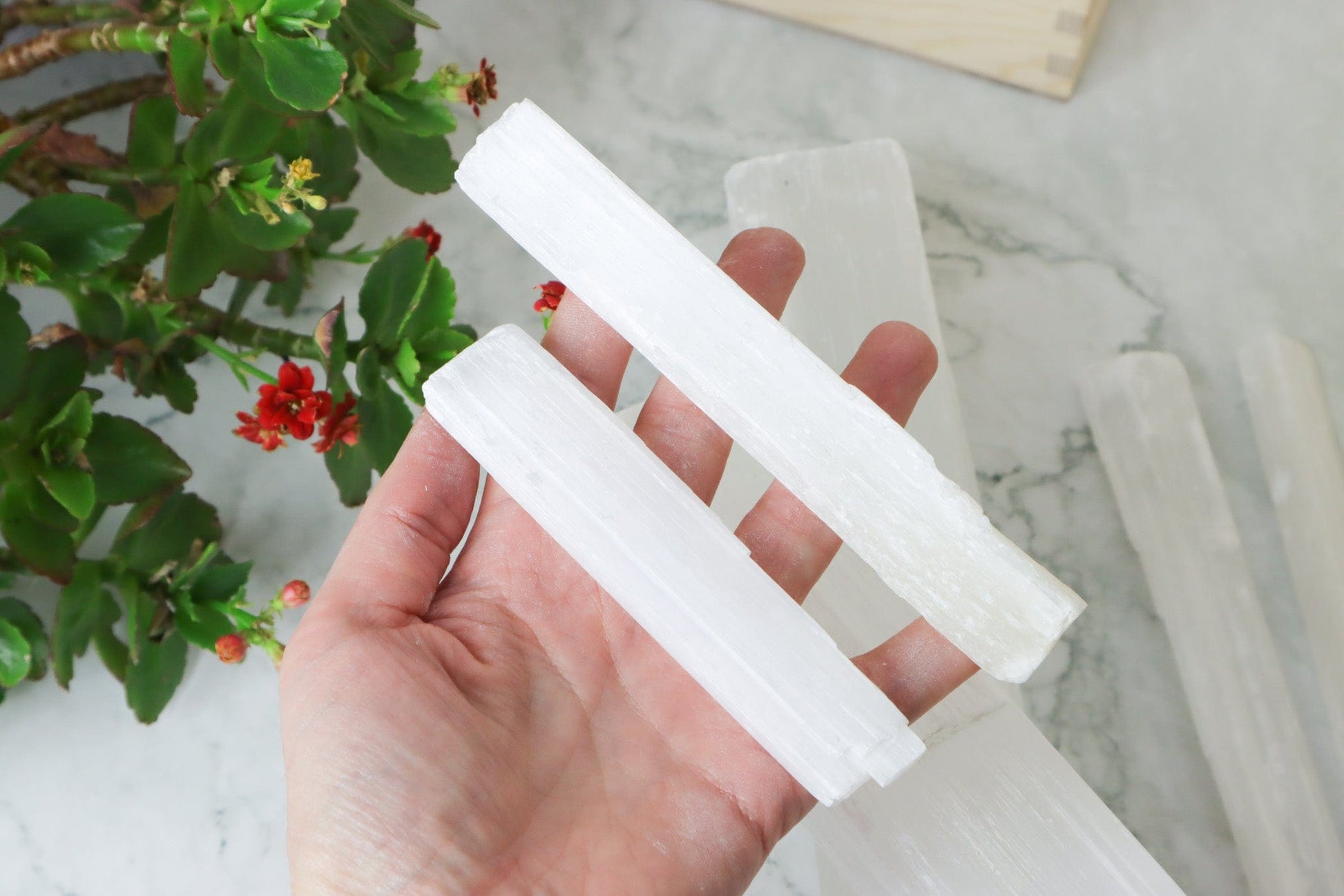 Selenite Wands - Cleansing/Higher Consciousness Wands Small Tali & Loz