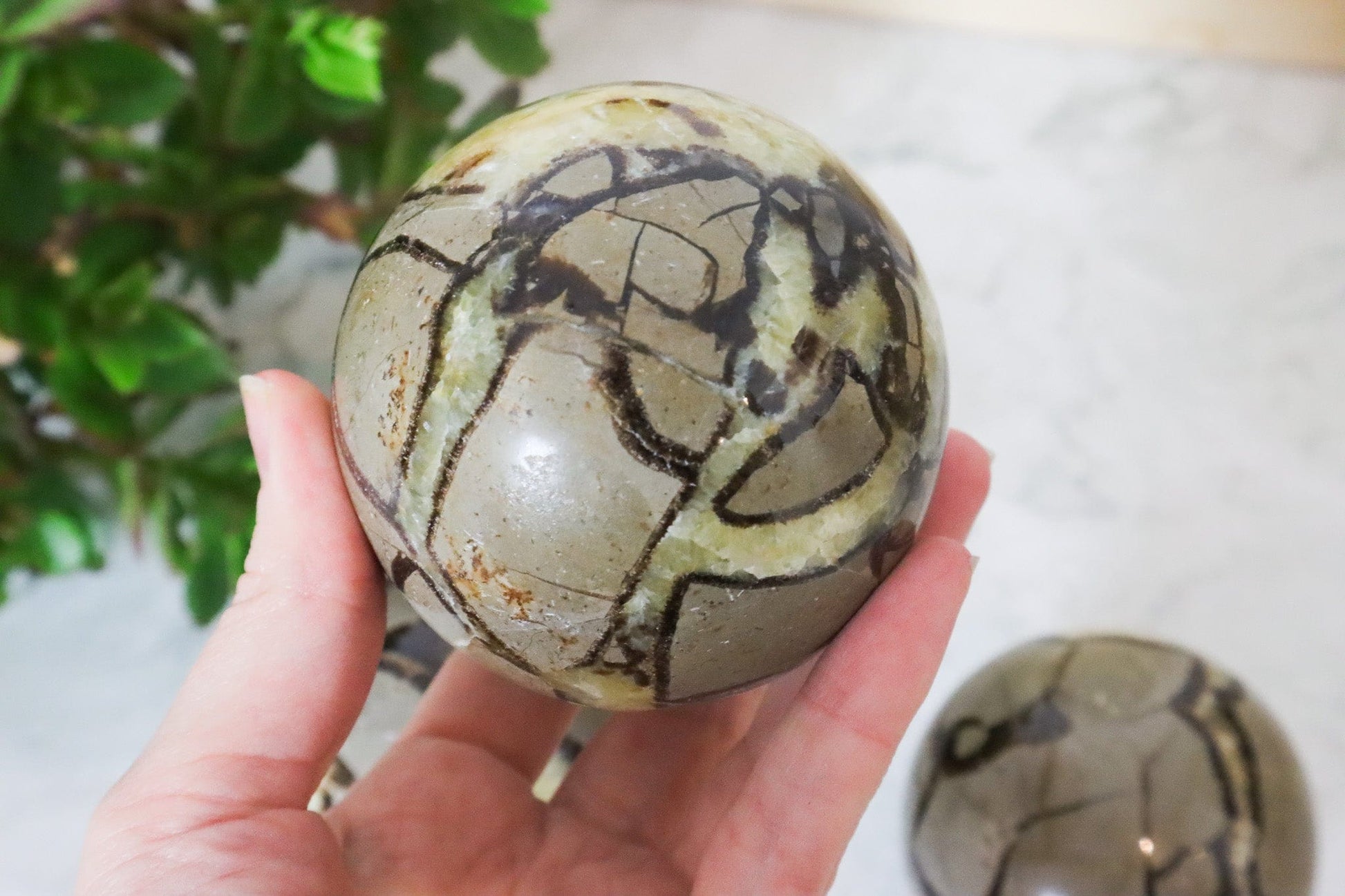 Septarian Spheres - Protection/Confidence Spheres Tali & Loz
