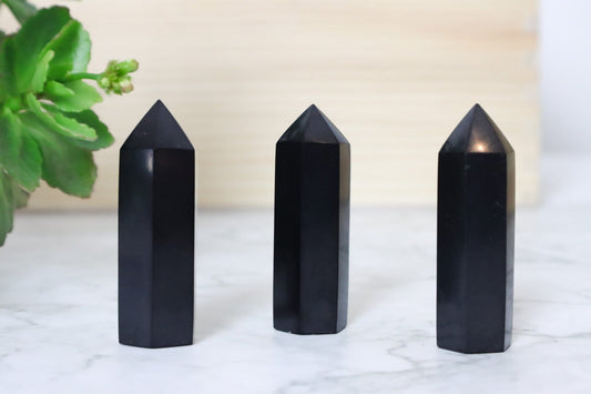 Shungite Towers - Protection/Purifying Towers Tali & Loz
