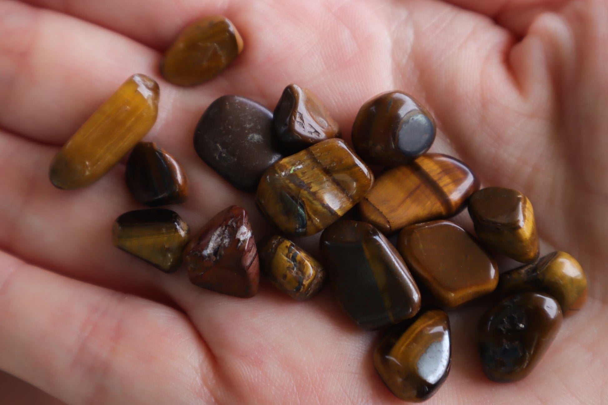 Tigers Eye Chips - Confidence/Energizing Crystal Chips Tali & Loz
