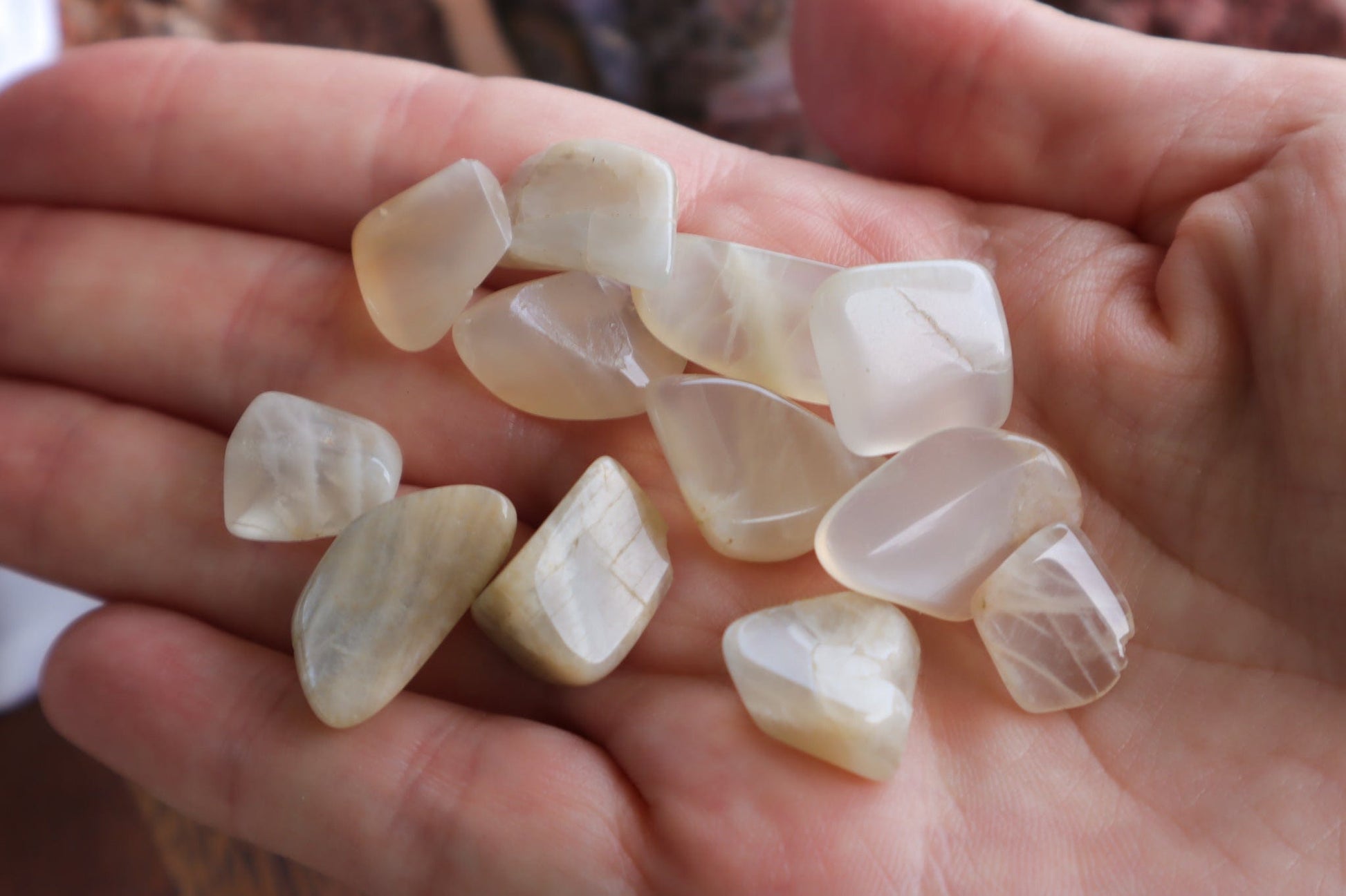 Moonstone Chips - Emotional Support/Strength Crystal Chips Tali & Loz